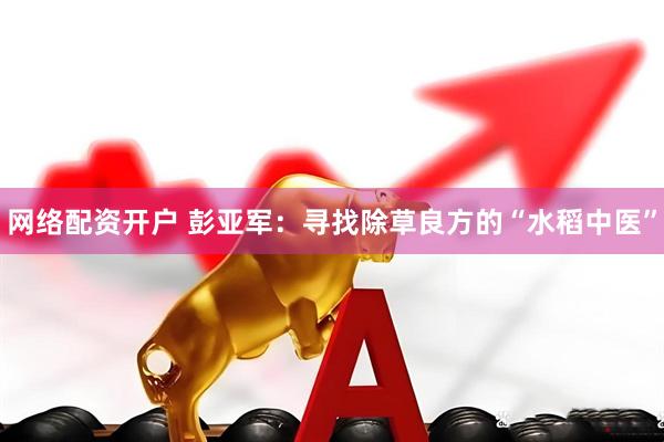 网络配资开户 彭亚军：寻找除草良方的“水稻中医”