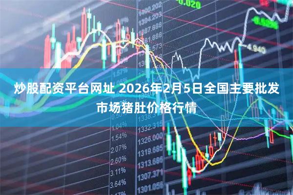 炒股配资平台网址 2026年2月5日全国主要批发市场猪肚价格行情