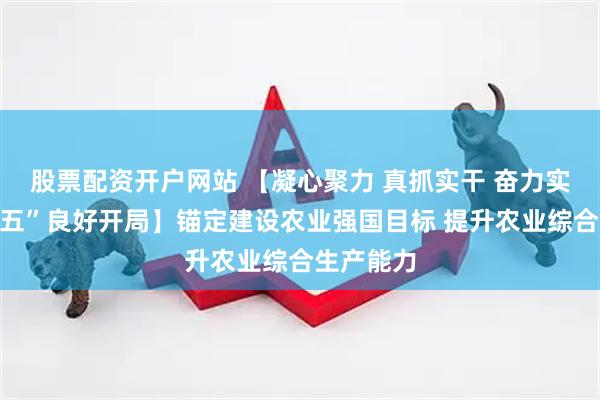 股票配资开户网站 【凝心聚力 真抓实干 奋力实现“十五五”良好开局】锚定建设农业强国目标 提升农业综合生产能力