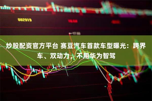 炒股配资官方平台 赛豆汽车首款车型曝光：跨界车、双动力，不用华为智驾
