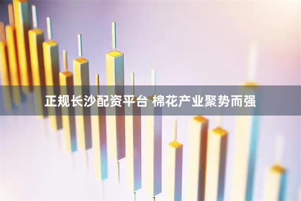 正规长沙配资平台 棉花产业聚势而强